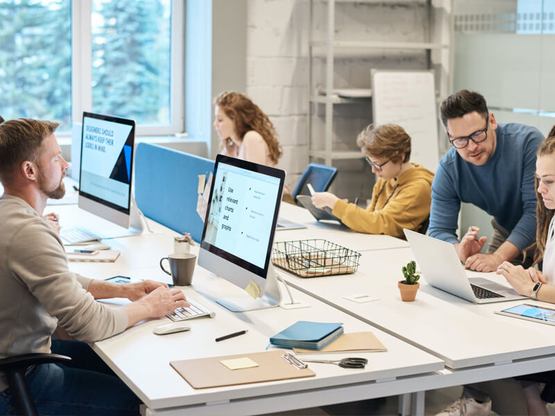 Software Development